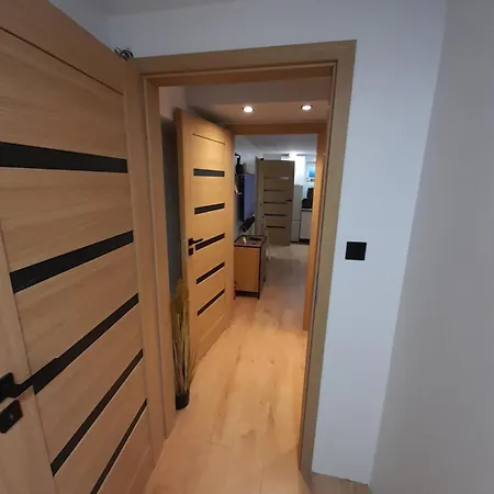 Nethouse Dla 12 Osob