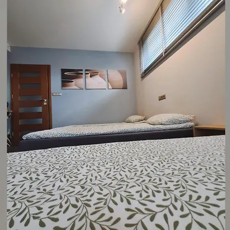 Nethouse Dla 12 Osob Apartman Płock