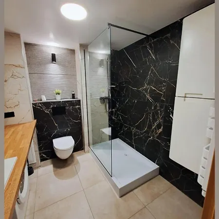 Nethouse Dla 12 Osob Apartman Płock