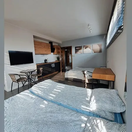 Nethouse Dla 12 Osob Apartman Płock