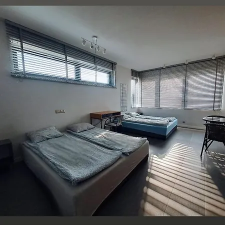 Nethouse Dla 12 Osob * Płock