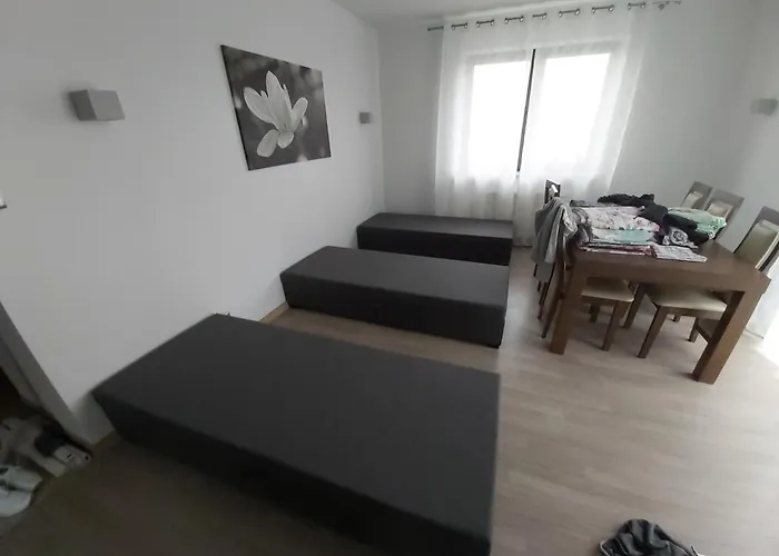 Nethouse Dla 12 Osob * Plock