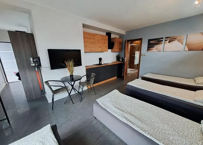 Nethouse Dla 12 Osob Plock