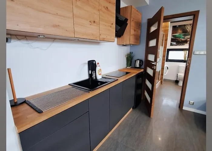 Nethouse Dla 12 Osob * Plock