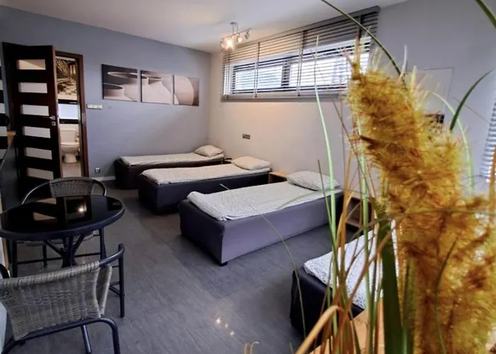 Apartment Nethouse Dla 12 Osob Plock