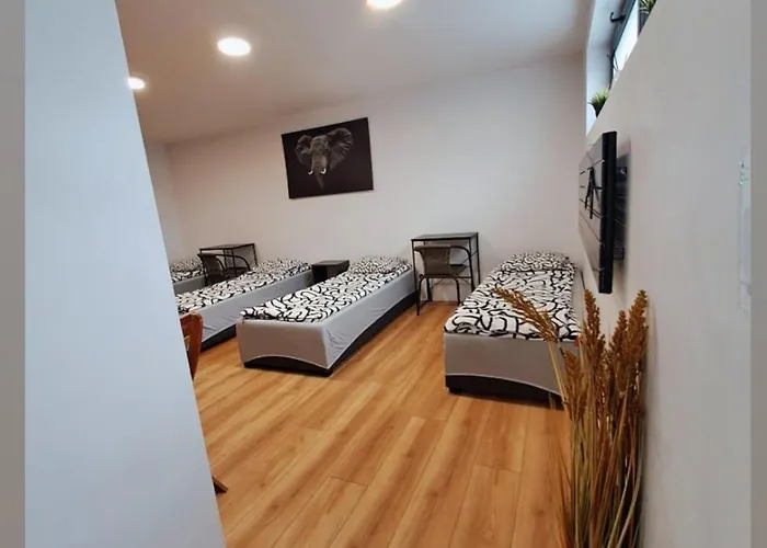 Apartment Nethouse Dla 12 Osob Plock