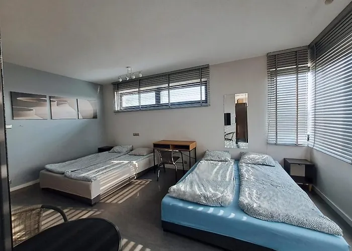 Nethouse Dla 12 Osob Apartment Plock