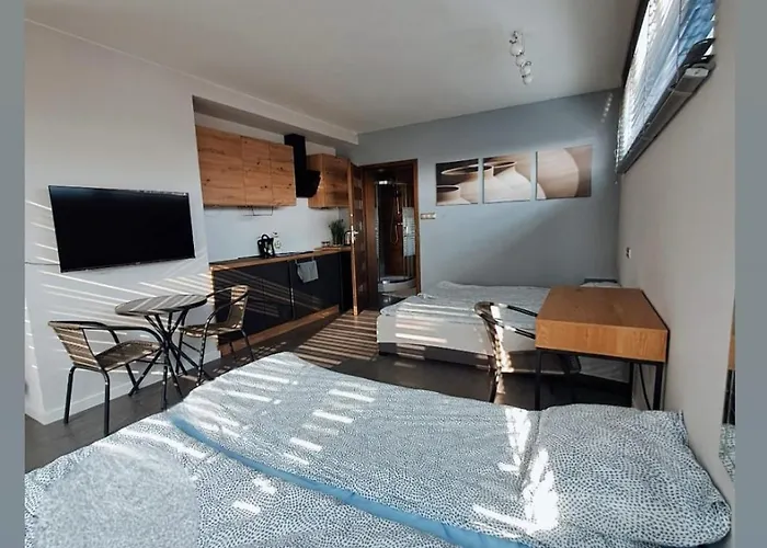 Nethouse Dla 12 Osob Apartment Plock