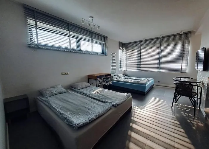 Nethouse Dla 12 Osob * Plock